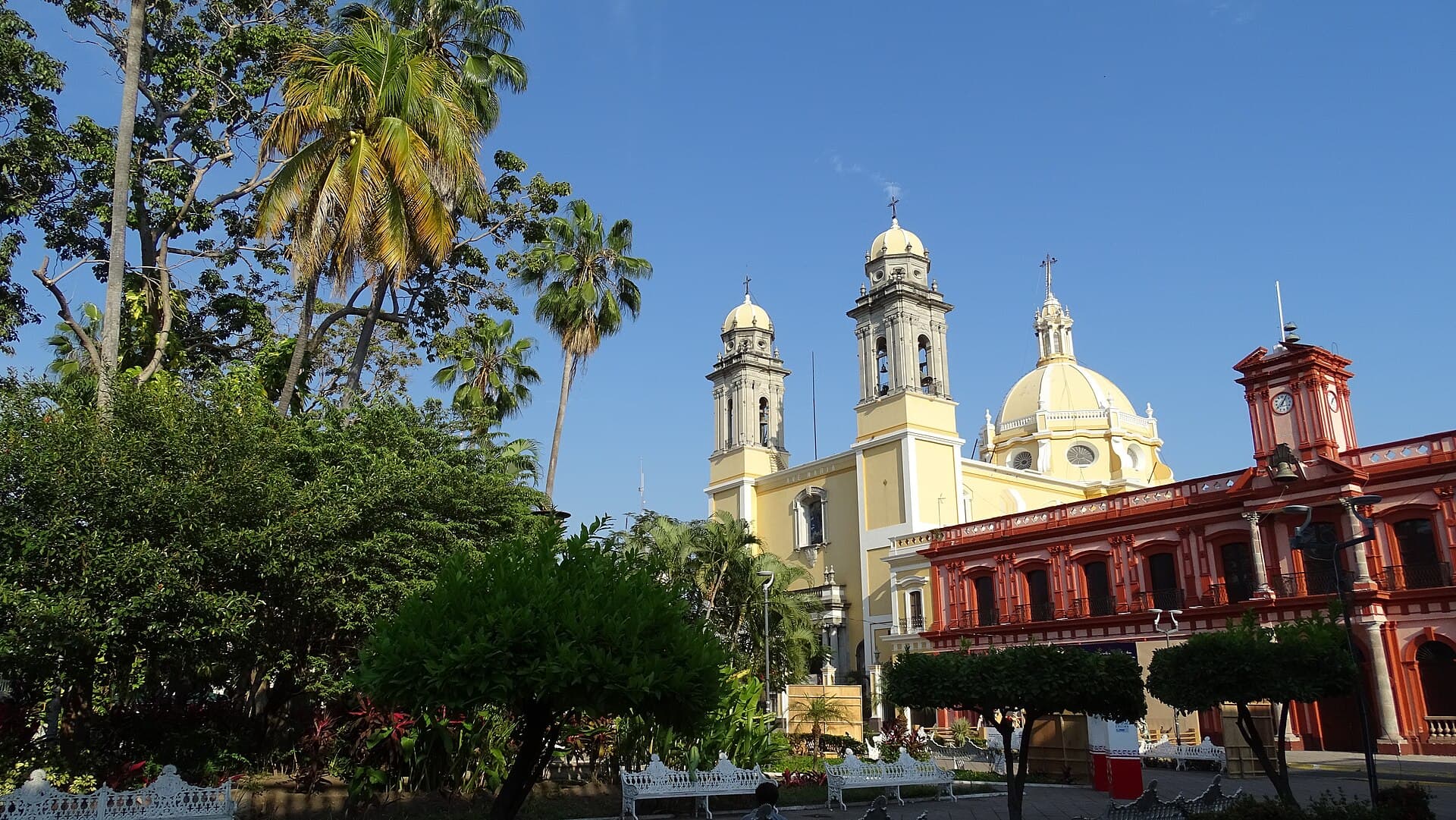 Colima — Clara Contigo