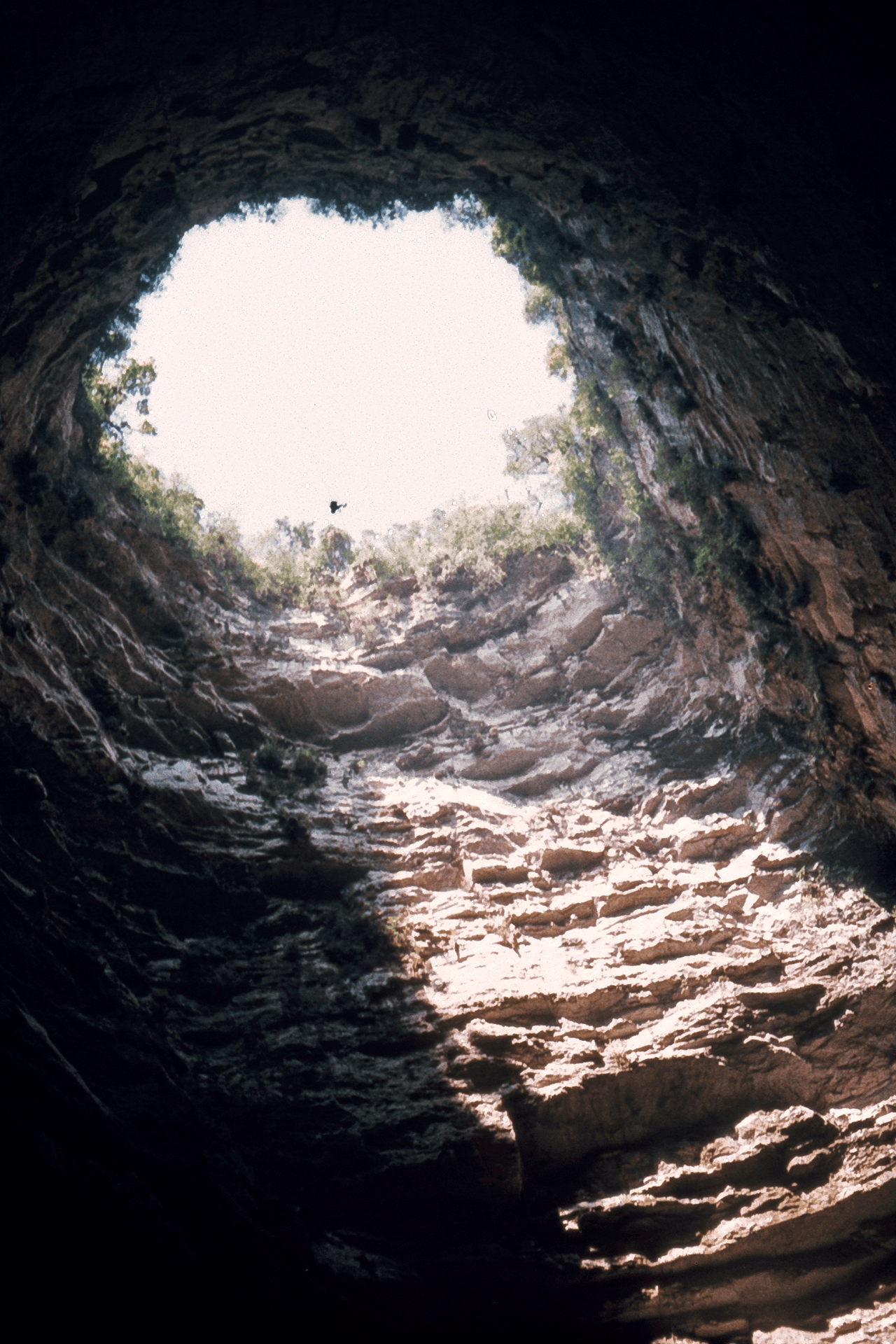 San Luis Potosí — Clara Contigo