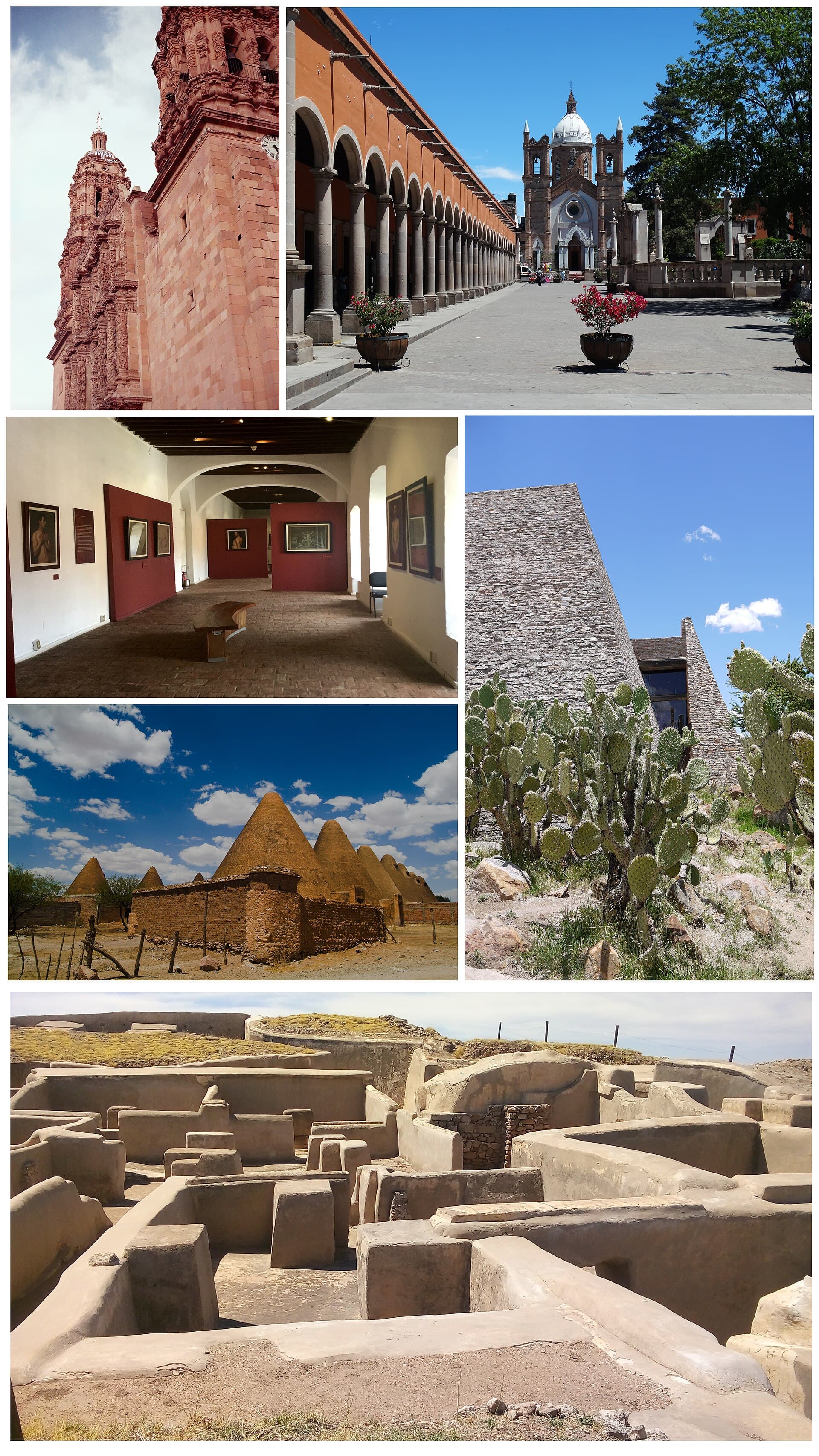 Zacatecas — Clara Contigo